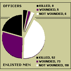 Okinawa casualties