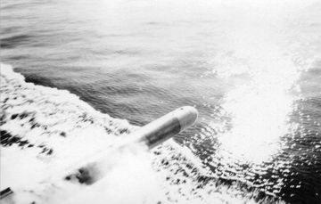 Practice torpedo